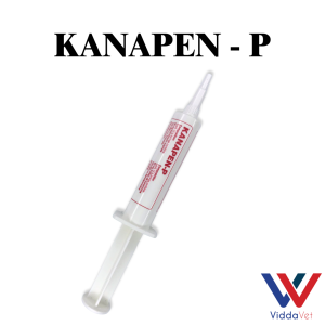 Kanapen P 10 Effective Animal Antibiotic Kanapen P for Animals