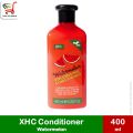 [Imported from Europe] Xpel Hair Care (XHC) Shampoo and Conditioner. 