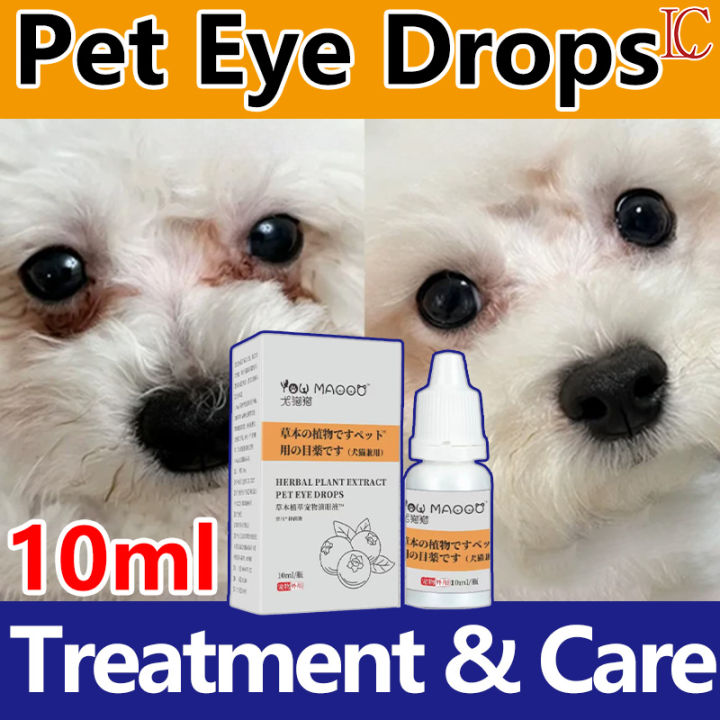 LEAH Japan import Eye Drops for Pet 10ML Pet Eyes Drop for Cat and