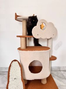 Cat Tree Luxury  Cat Play Rumah Kayu Kucing Cat Condo Premium Villa Cat Scratching House