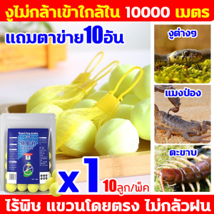 ไม่มีงูเหลืออยู่ในรัศมี 100 ไมล์🐍1 แพ็คมี10ผงไล่งู 1เม็ดใช้ได้1ปี แจกฟรีถุงตาข่าย ผงไล่งู ไล่งู กันลม กันฝน ไล่สัตว์เลื้อยคลาน และสัตว์เลื้อยคลาน ใช้งานง่าย ไม่มีสารเคมี ปลอดภัย ไล่แมลง ไล่งู สีเงิน แมลงและสัตว์เลื้อยคลานทุกชนิดคุณภาพสูง กำมะถันไล่งู