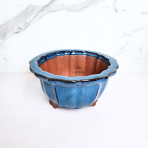 The Leaferie Bonsai plant pots (Series 69) Ceramic flowerpot . flowerpots . flower pot planter
