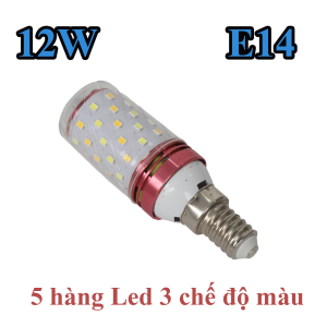 bóng led bắp bóng led trang trí