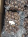 Hạt Macca sấy nứt_ Macca Tươi Thủy (500gr có kèm đồ tách hạt). 