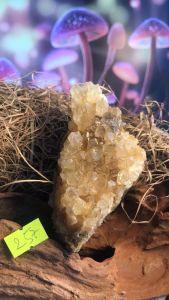 Hoa đó Thạch Anh màu vàng Citrine tự nhiên thiên nhiên hai mặt lấp lánh mã 257