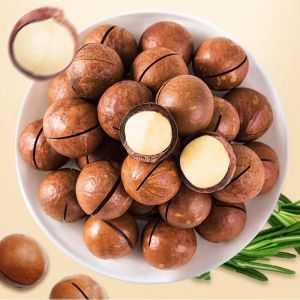 in stock 夏威夷果开心果碧根果巴旦木坚果 Nuts Pistachio Balmond Pecan Nuts Macadamia Nuts Snacks