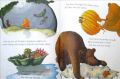 Mr bears new baby by Debi Gliori paperback orchard books Mr. Xiong has his son Shendong children's original English picture book. 