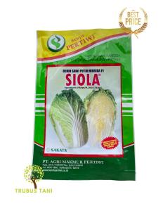BENIH Sawi Putih Hibrida F1 Siola 10gr