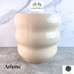 The Leaferie Arlune plant pots. Ceramic flowerpot . flowerpots . flower pot . planter . planters