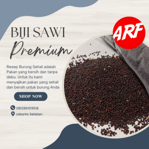 Pakan Burung Biji Sawi 250 Gram Biji Sawi Premium  Untuk Kenari Finch Lovebird Dll