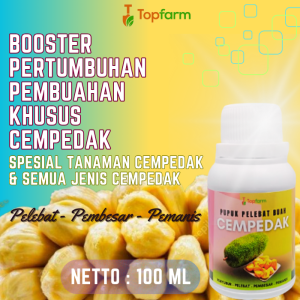 Pupuk Organik Cair Serbaguna / Pupuk Khusus Buah Cempedak / Pupuk Buah Cempedak / Pupuk Pelebat Buah Cempedak / Obat Pembesar Buah Cempedak