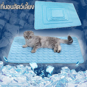 【Scten】COD แผ่นทำความเย็นสำหรับสัตว์เลี้ยงสุนัขแมวสะดวกสบายเหมาะสำหรับบ้านฤดูร้อนเบาะ ที่นอนสัตว์เลี้ยง