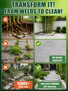 RootXRootX Targeted Conduction Tree Bamboo Grass Remover/Complete Uprooting/For Gardeners/Home Use/Easy Application