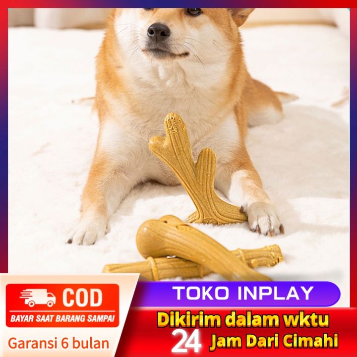 Mainan Anjing Wooden Antler Dog Chew Toys Dental Fiber Long