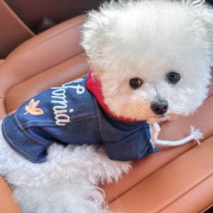 OUTOPEN Comfortable Pet Denim Hoodie Letter Embroider Windproof Pet Cowboy Outfit Fashion with Drawstring Dog Jean Jacket Daily Wear