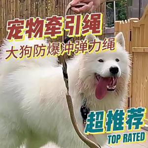 Outdoor Dog Walking Leash for Large Dogs Explosion-Proof Multi-Functional Large DogLeash Car-Mounted Dog Leash