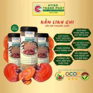 Trà NẤM LINH CHI XÂY SỢI 100gr THẠNH PHÁT 100% tự nhiên SẢN PHẨM CAO CẤP hộp 100gr giúp thanh lọc cơ thể tốt cho gan thận mật