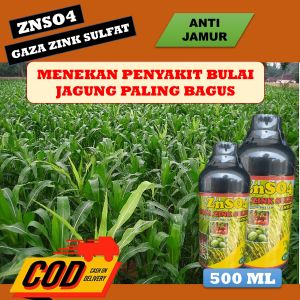 (BAYAR DI RUMAH) Fungisida bulai jagung - Fungisida anti bulai jagung - Obat bulu jagung paling ampuh - Target obat bulai jagung - Obat pencegah bulai jagung - Obat anti bulai untuk jagung - Obat penyakit bulai jagung - znso4 gaza 500ml