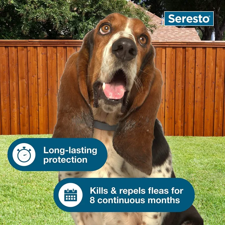 Seresto%20Elanco%20Repellent%20collar%20for%20Cat%20Small%20Dog%20Antiparasitic%20Adjustable%20Puppy%20Kitten%20Collar%20Breakaway%20Pet%20Accessories%20-%20Image%205