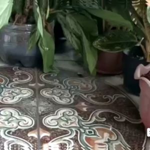 FLATSHOES WANITA SEPATU FLAT BEASTIE BIDADARI