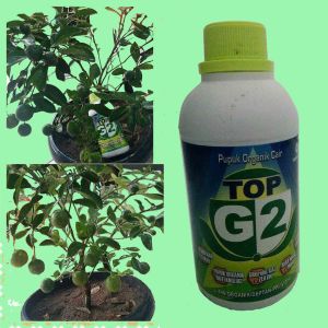 BBM-Pupuk ORGANIK  TOP G2 sebagai makanan tambahan untuk ternak dan ikan