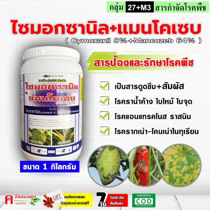 ไซมอกซานิล แมนโคเซบ กำจัดโรคทุเรียน รากเน่า โคนเน่า