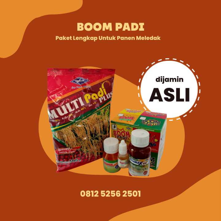 Padi Paket Wurde Vom Hg Gesendet Boom Padi Paket Lengkap Untuk Panen Meledak | Lazada Indonesia
