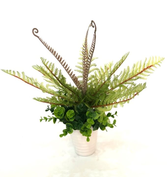 Leeartplants ต้นเฟิร์นตั้งโต๊ะ 35 ซม. พร้อมกระถาง
