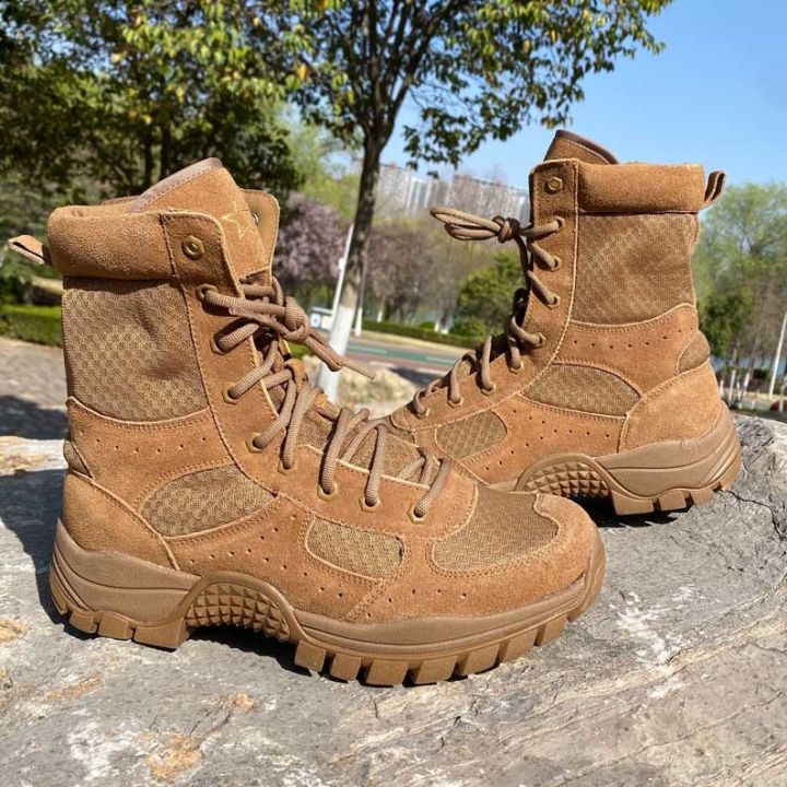 New Style Brown Summer Mesh Breathable Combat Boots for Men, Ultra-light  Wear-resistant High-top Zipper Puncture-proof Desert Training Boots  Lazada