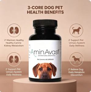 AminAvast Canine Kidney Support Capsules Natural Amino Acid Formula For Dog Daily Renal Wellness Care60ct