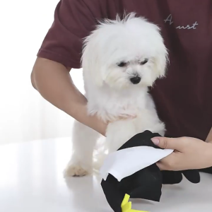 Pet nữ tu trang phục Dog halloweens quần áo Pet đóng vai trang phục dày trang phục cho festives tạo nên và trang trí