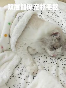 Sacesr Double-sided ThickenedWinter Blanket Cat Nest Mat Warm Plush CoverMattress for Kittens Comfortable Sleeping Blanket 9H4B3