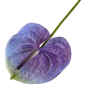 OKDEALS Multicolor Artificial Small Anthurium 60cm Soft Rubber Fake Flower Creative Photo Props Faux Red Palm Home Decoration