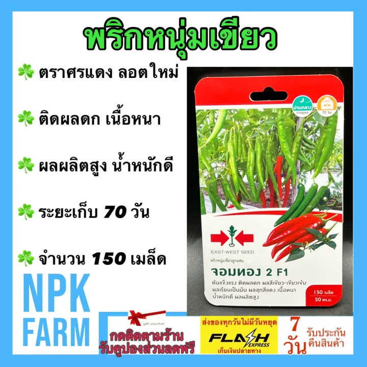 ศรแดง เมล็ดพันธุ์พริกหนุ่มเขียว จอมทอง2 ผลดก