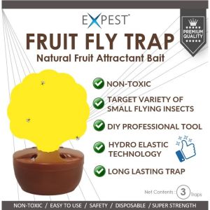 [Ready Stock] Fruit Fly Trap - [No more small flies] "Hot Item"