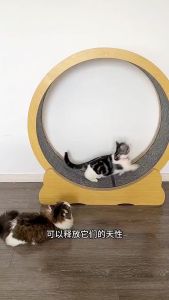 Pet Treadmill Cat Treadmill Solid Wood Cat Toy Wheel Weight Loss Fitness Roller Silent Exercise Machine
