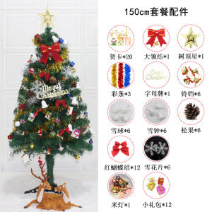 SG DIY Christmas Tree with Light and Ornament Set 60CM 90CM 120CM 150CM for Home Decoration