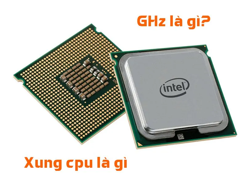 CPU Intel Pentium G2030/G2020/G2010/G630/G620 chạy main SOCKET