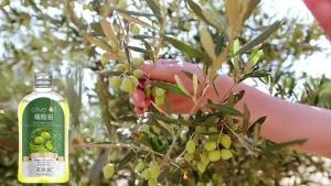 BUY 1 TAKE 1 Pure Olive Oil with Vitamin E for Face Skin Hair Anti-aging Moisturizing Essential OiL