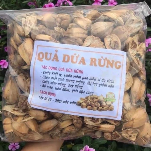 Quả dứa rừng - Quả dứa dại 500g 681lz | Lazada.vn