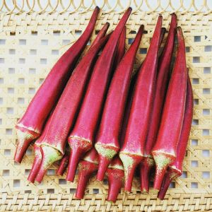 Hạt Giống Đậu Bắp Đỏ dể trồng-10gr
