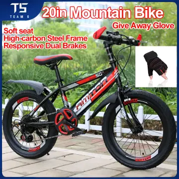 Buy Bmx Bike 24 Inch online Lazada .ph