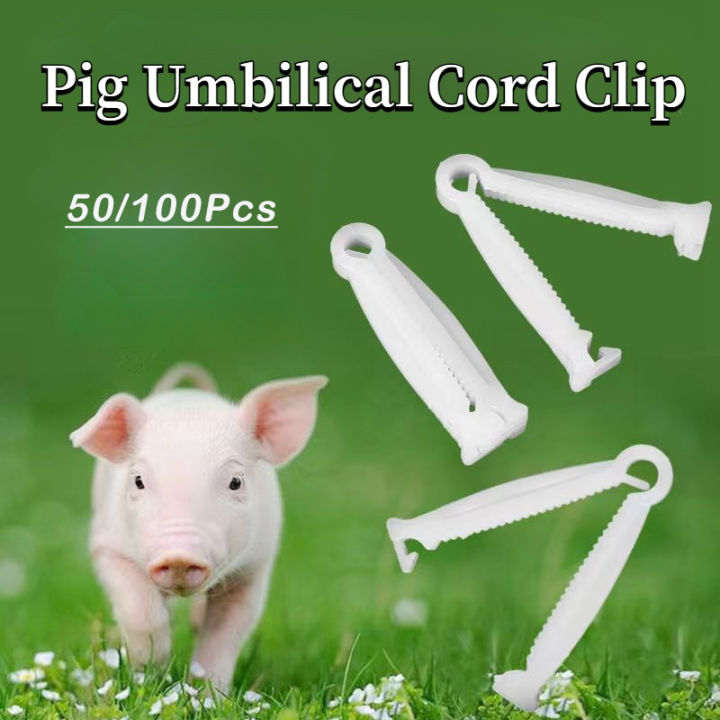 50/100/250Pcs Disposable Umbilical Cord Clamp Animal Sterile Plastic