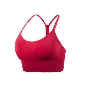 Ladies Yoga Sports Bras Skin-Friendly Cross Shockproof Running Fitness Underwear WX001