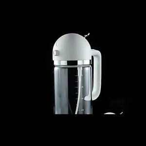 2-in-1 Oil Spray & Pour Glass Bottle BBQ & Kitchen Cooking Oiler 2 Colors