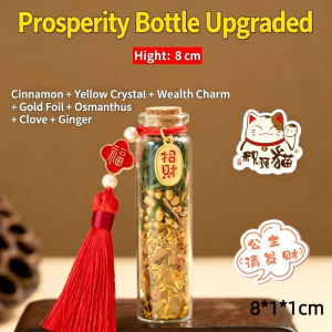 Feng Shui Lucky Charm for Money and Business Wealth Bottle Good Fortune Bag Pendant Ornament