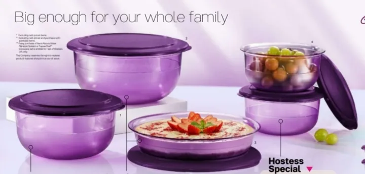 Tupperware JoyServe Bowl Set, 1.3L(1 Pcs) & 3.5L(1 Pcs)(Total : 2 Pcs)