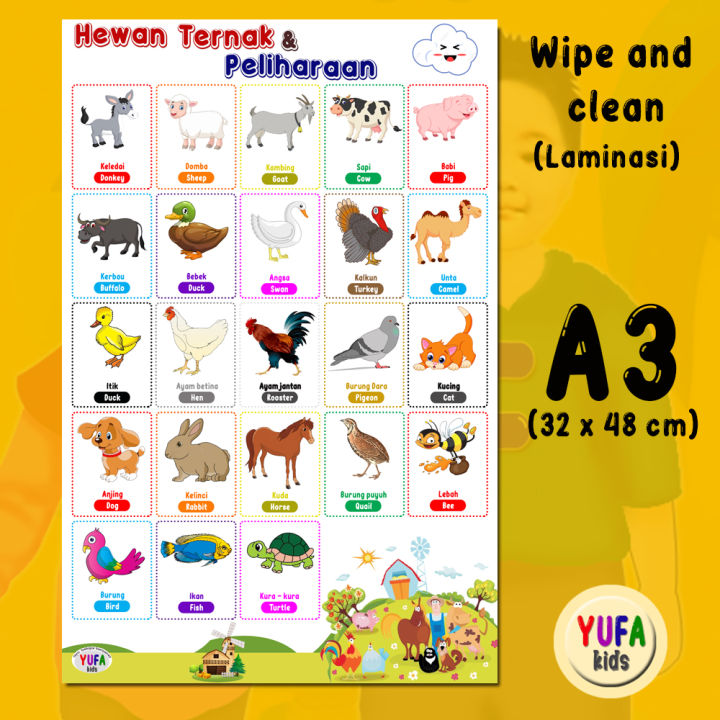 026 Poster mengenal hewan ternak dan peliharaan - poster wipe n clean