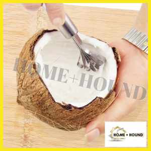HOME + HOUND Essential Stainless Steel Manual Coconut Scraper & Cheese Shredder