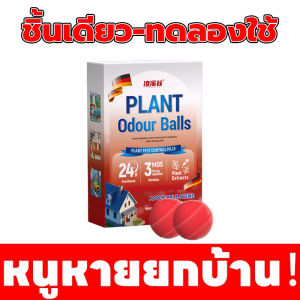 💥ปลอดหนูตลอดทั้งปี💥HQ หนู ตายไม่มีกลิ่น ตายไม่มีกลิ่น ขนมหนูตายแห้ง เหยื่อกำจัดหนู ฆ่าหนูในบ้าน ยาฆ่าหนูในบ้าน ไล่หนู กำจัดหนู เหยื่อหนู สารกำจัดหนู ตายแห้ง หนูยกรัง หนู แรงๆ สะตอมยาเบื่อหนู เหยื่อดักหนู